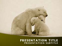 Polar Bear and Cubs Title Master slide design