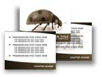 Ladybird PowerPoint Template