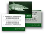 Shark PowerPoint Template