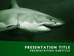 Shark Title Master slide design