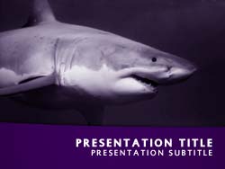 Shark Title Master slide design