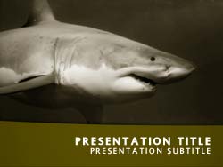 Shark Title Master slide design