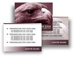 Falcon PowerPoint Template