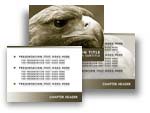 Falcon PowerPoint Template