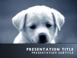 Puppy Dog Title Master slide design