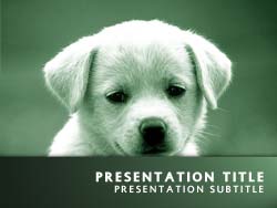 Puppy Dog Title Master slide design