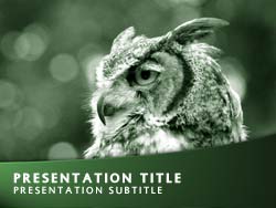 Owl Title Master slide design