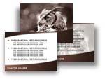 Owl PowerPoint Template