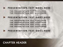 Tiger Slide Master slide design