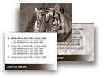 Tiger PowerPoint Template