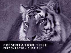 Tiger Title Master slide design