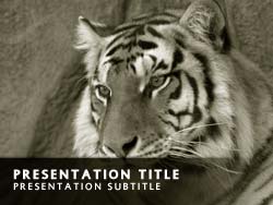 Tiger Title Master slide design