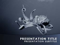 Octopus Title Master slide design