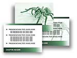 Spider PowerPoint Template