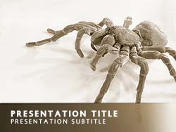 Spider Title Master slide design