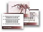 Spider PowerPoint Template