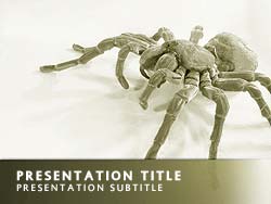 Spider Title Master slide design