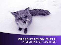 Fox Title Master slide design