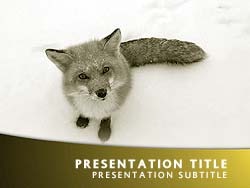 Fox Title Master slide design