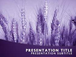 Wheat Title Master slide design