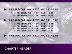 Nutrition Slide Master slide design