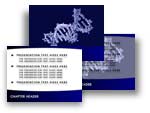 DNA Double Helix PowerPoint Template