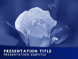 Rose Flower Title Master slide design
