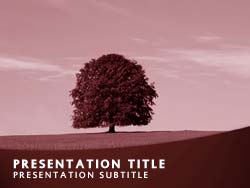 Tree of Knowledge Title Master slide design