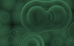 Cell Division PowerPoint Video Background
