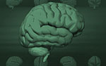 Human Brain PowerPoint Video Background