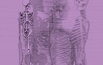 Human Skeleton PowerPoint Video Background