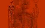Human Skeleton PowerPoint Video Background