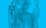 Human Skeleton powerpoint video background