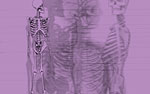 Human Skeleton powerpoint video background