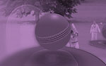 Cricket PowerPoint Video Background