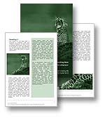 Wild Cats Conservation Word Template