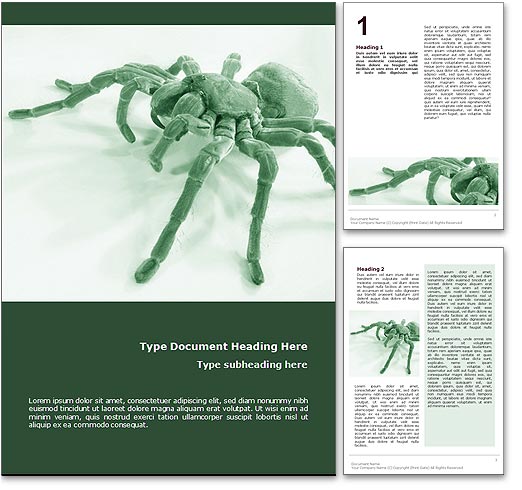 Spider word template document
