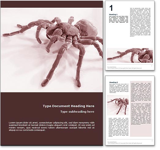 Spider word template document