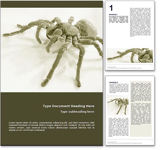 Spider word template document