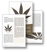 Marijuana Word Template