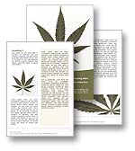 Marijuana Word Template