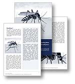 Malaria Word Template