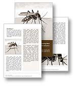 Malaria Word Template