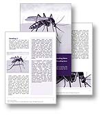 Malaria Word Template