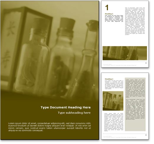 Chinese Herbal Medicine word template document