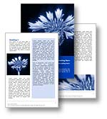 Corn Flower Word Template