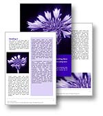 Corn Flower Word Template