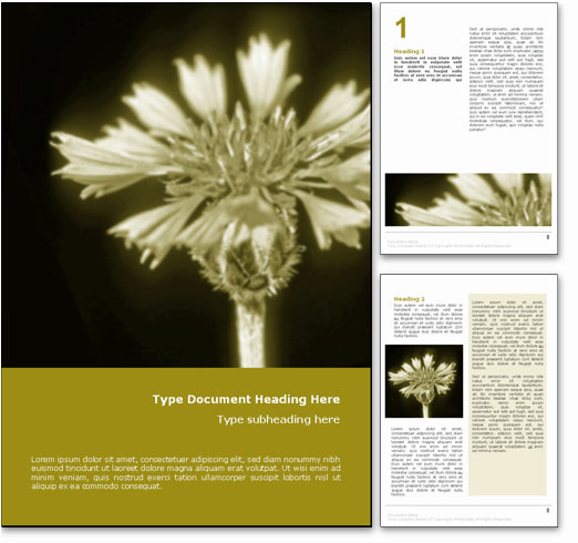 Corn Flower word template document