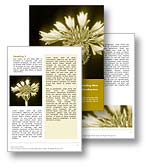 Corn Flower Word Template